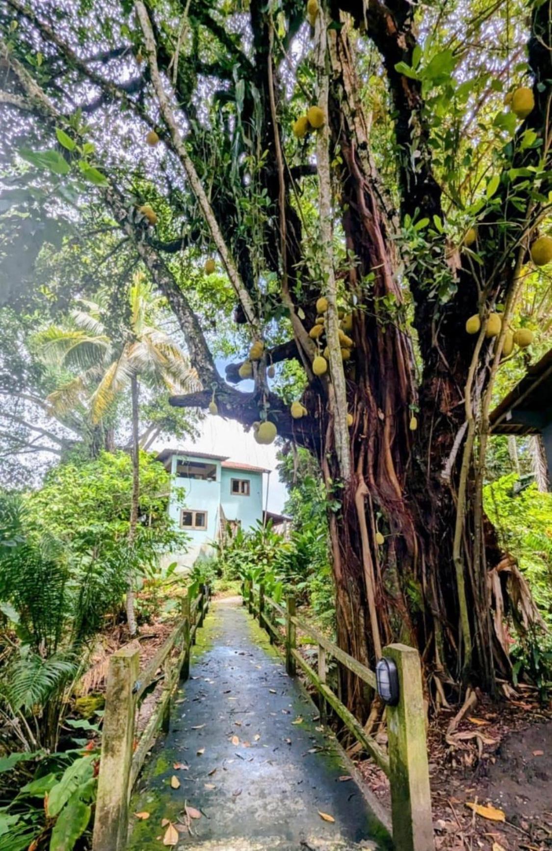 Alecrim Hostel E Pousada Velha Boipeba Екстериор снимка